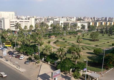 جامعة المنصورة